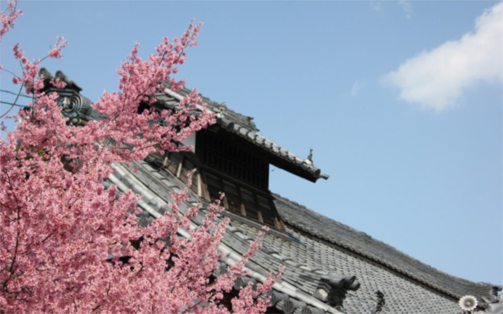 京都の屋根